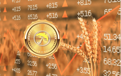 (Video): How weather is still creating a bull market in wheat and causing volatile price action for corn and soybeans